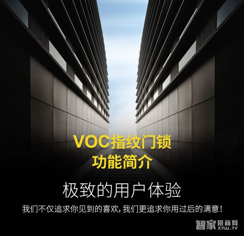 voc奢华贵族系列 LS79智能密码指纹锁