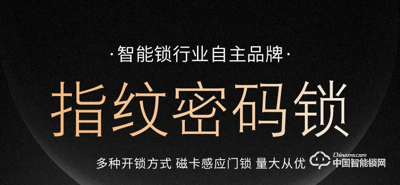 飞黄智能锁 智能防盗锁指纹锁智能门锁