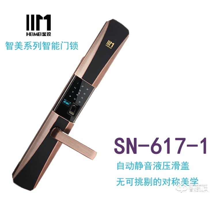 黑玫智能锁 SN-617家用防盗智能锁感应卡锁