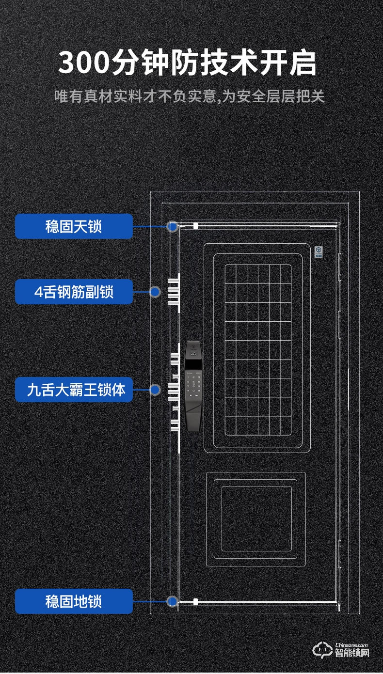 挺固智能门  波斯蓝系列别墅定制门大门隔音门