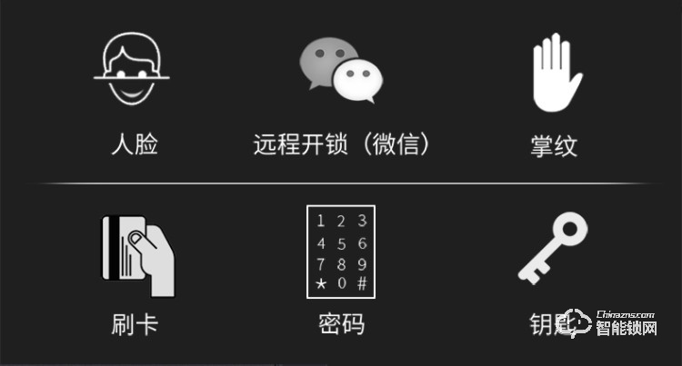 珈门智能锁 JM-A6家用防盗门刷脸智能门锁
