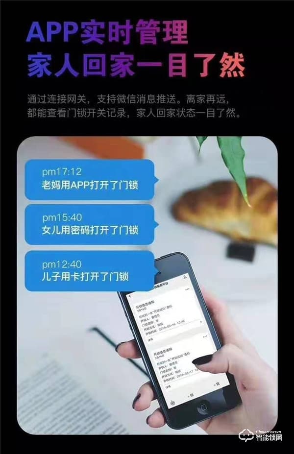 凌振智能锁 家用全自动人脸识别智能锁