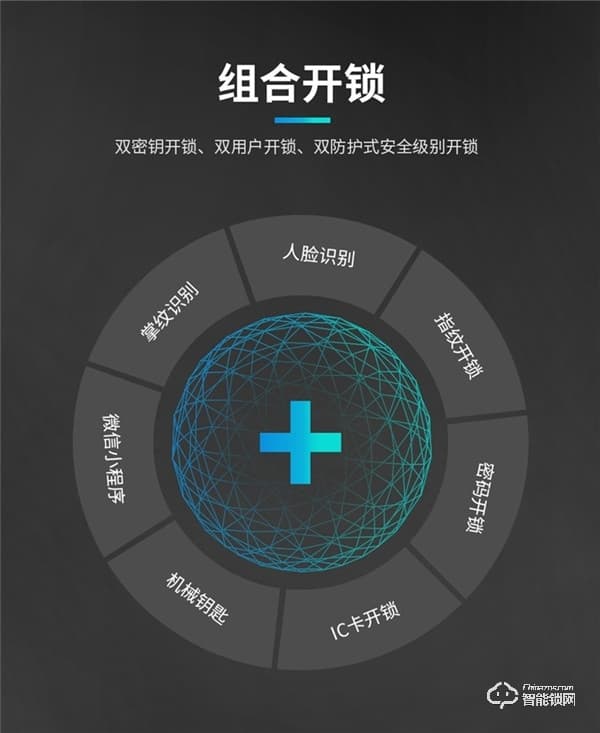 凌振智能锁 家用全自动人脸识别智能锁