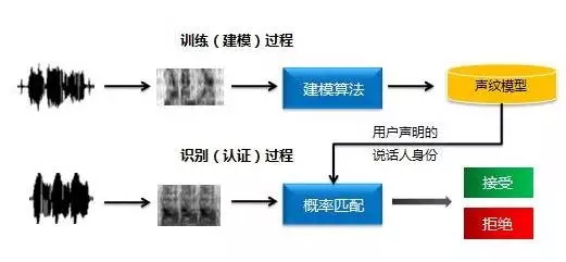 顶吉智能锁为您解析六种常见的生物识别技术