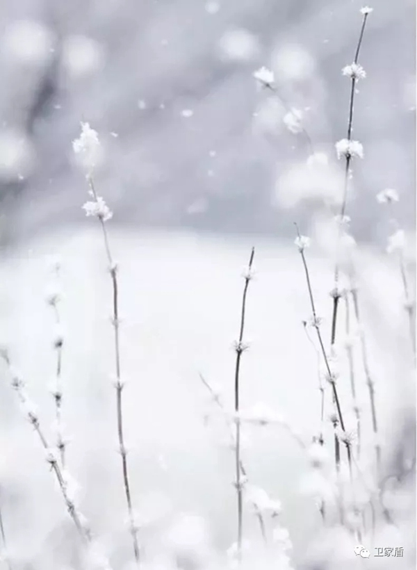 小雪缤纷至，卫家盾智能锁给你一个温暖安全的家