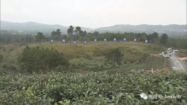 多特智能锁迎接湖南省省委书记杜家毫一行莅临调研