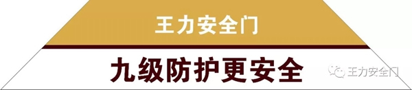 智能锁经销商大调查|王力安防品牌价值蝉联门业第一，价值已达271.62亿元