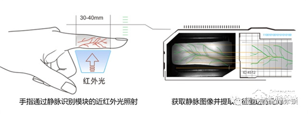 玺尔盾指静脉锁 | 指静脉智能锁会成为行业主流吗